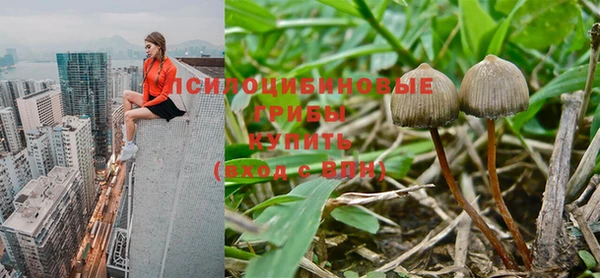 таблы Абинск