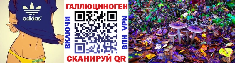 ОМГ ОМГ ссылка  Новотитаровская  Галлюциногенные грибы GOLDEN TEACHER 